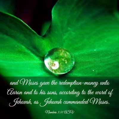 Picture 03 - Numbers 3:51 ASV - and Moses gave the redemption-money unto Aaron - Bible Verse Picture
