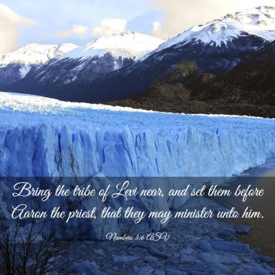 Picture 03 - Numbers 3:6 ASV - Bring the tribe of Levi near, and set them before - Bible Verse Picture
