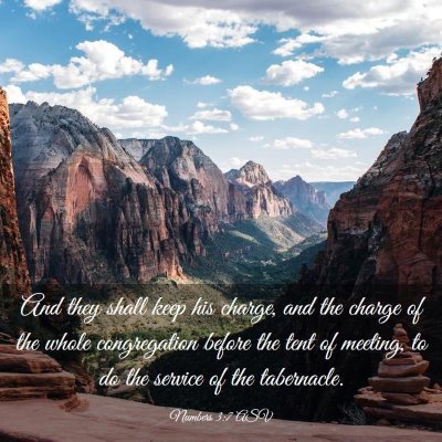 Picture 03 - Numbers 3:7 ASV - And they shall keep his charge, and the charge of - Bible Verse Picture