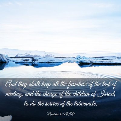 Picture 03 - Numbers 3:8 ASV - And they shall keep all the furniture of the tent - Bible Verse Picture