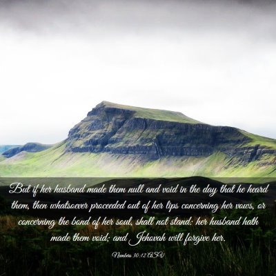 Picture 03 - Numbers 30:12 ASV - But if her husband made them null and void in the - Bible Verse Picture