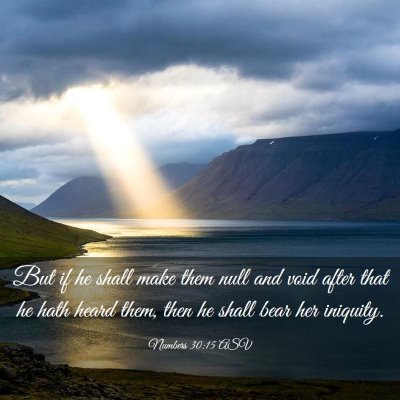 Picture 03 - Numbers 30:15 ASV - But if he shall make them null and void after - Bible Verse Picture