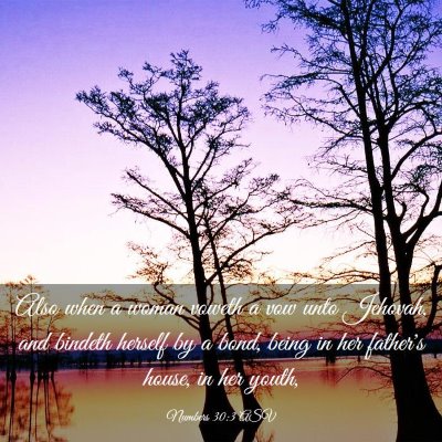 Picture 03 - Numbers 30:3 ASV - Also when a woman voweth a vow unto Jehovah, and - Bible Verse Picture
