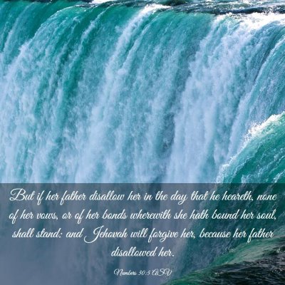 Picture 03 - Numbers 30:5 ASV - But if her father disallow her in the day that he - Bible Verse Picture