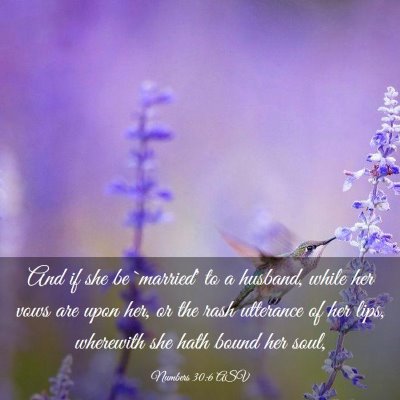 Picture 03 - Numbers 30:6 ASV - And if she be `married' to a husband, while her - Bible Verse Picture