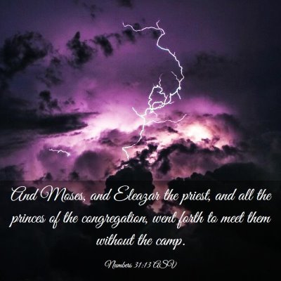 Picture 03 - Numbers 31:13 ASV - And Moses, and Eleazar the priest, and all the - Bible Verse Picture