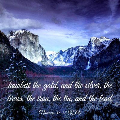Picture 03 - Numbers 31:22 ASV - howbeit the gold, and the silver, the brass, the - Bible Verse Picture