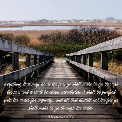 Picture 03 - Numbers 31:23 ASV - everything that may abide the fire, ye shall make - Bible Verse Picture