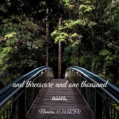 Picture 03 - Numbers 31:34 ASV - and threescore and one thousand - Bible Verse Picture