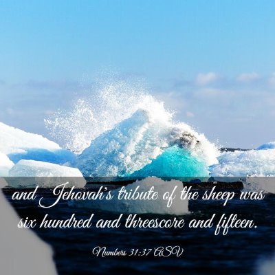 Picture 03 - Numbers 31:37 ASV - and Jehovah's tribute of the sheep was six - Bible Verse Picture