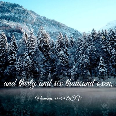 Picture 03 - Numbers 31:44 ASV - and thirty and six thousand - Bible Verse Picture