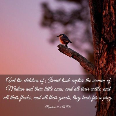 Picture 03 - Numbers 31:9 ASV - And the children of Israel took captive the women - Bible Verse Picture