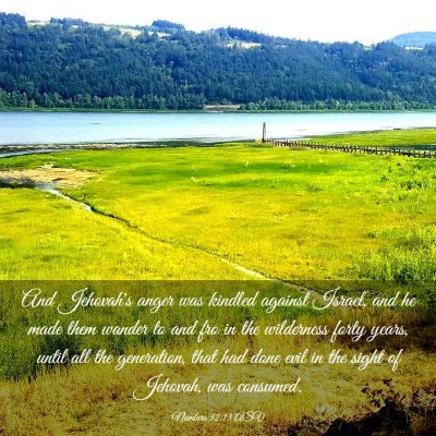 Picture 03 - Numbers 32:13 ASV - And Jehovah's anger was kindled against Israel, - Bible Verse Picture