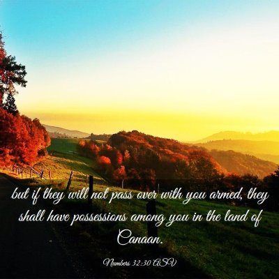 Picture 03 - Numbers 32:30 ASV - but if they will not pass over with you armed, - Bible Verse Picture