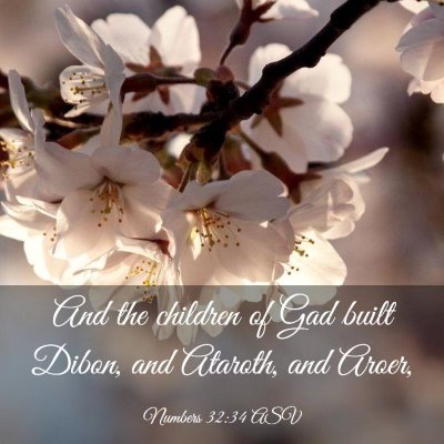 Picture 03 - Numbers 32:34 ASV - And the children of Gad built Dibon, and Ataroth, - Bible Verse Picture