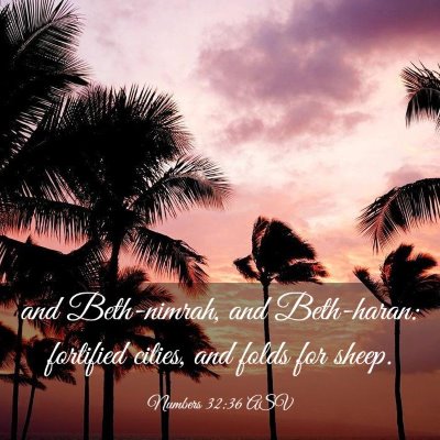 Picture 03 - Numbers 32:36 ASV - and Beth-nimrah, and Beth-haran: fortified - Bible Verse Picture