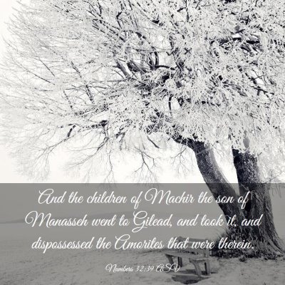 Picture 03 - Numbers 32:39 ASV - And the children of Machir the son of Manasseh - Bible Verse Picture