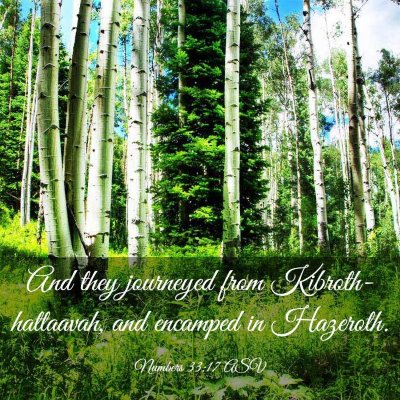 Picture 03 - Numbers 33:17 ASV - And they journeyed from Kibroth-hattaavah, and - Bible Verse Picture