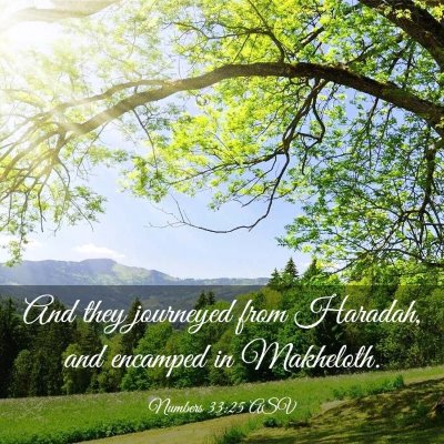 Picture 03 - Numbers 33:25 ASV - And they journeyed from Haradah, and encamped in - Bible Verse Picture