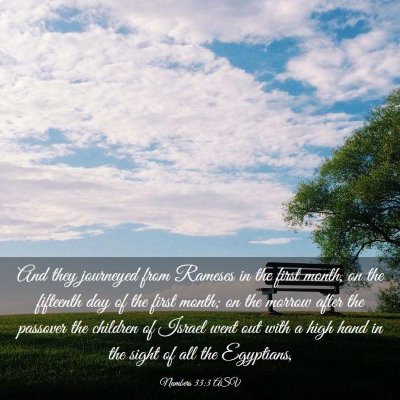 Picture 03 - Numbers 33:3 ASV - And they journeyed from Rameses in the first - Bible Verse Picture