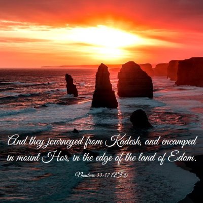 Picture 03 - Numbers 33:37 ASV - And they journeyed from Kadesh, and encamped in - Bible Verse Picture