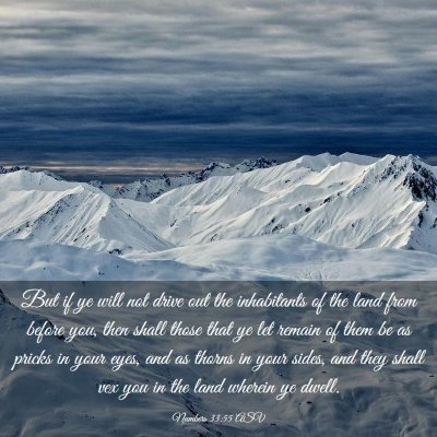 Picture 03 - Numbers 33:55 ASV - But if ye will not drive out the inhabitants of - Bible Verse Picture