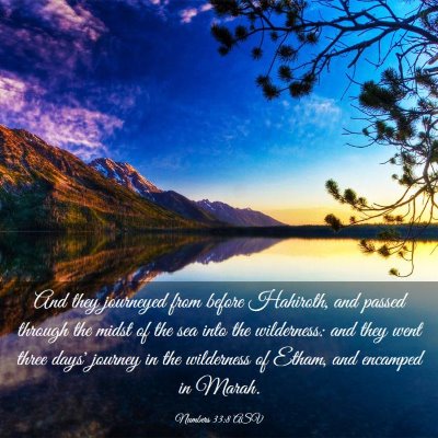 Picture 03 - Numbers 33:8 ASV - And they journeyed from before Hahiroth, and - Bible Verse Picture