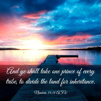 Picture 03 - Numbers 34:18 ASV - And ye shall take one prince of every tribe, to - Bible Verse Picture