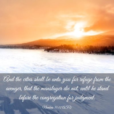 Picture 03 - Numbers 35:12 ASV - And the cities shall be unto you for refuge from - Bible Verse Picture