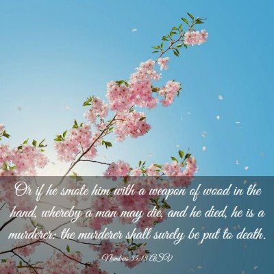 Picture 03 - Numbers 35:18 ASV - Or if he smote him with a weapon of wood in the - Bible Verse Picture