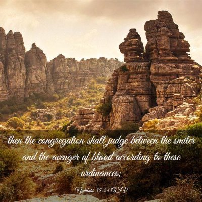 Picture 03 - Numbers 35:24 ASV - then the congregation shall judge between the - Bible Verse Picture