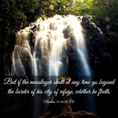 Picture 03 - Numbers 35:26 ASV - But if the manslayer shall at any time go beyond - Bible Verse Picture