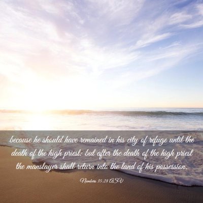 Picture 03 - Numbers 35:28 ASV - because he should have remained in his city of - Bible Verse Picture