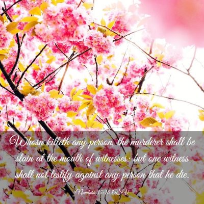 Picture 03 - Numbers 35:30 ASV - Whoso killeth any person, the murderer shall be - Bible Verse Picture