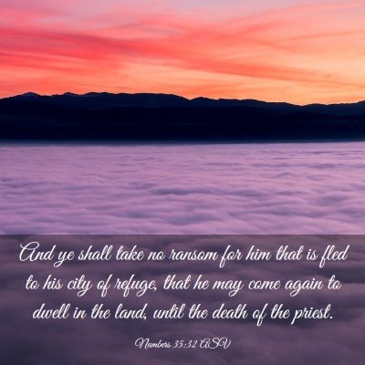Picture 03 - Numbers 35:32 ASV - And ye shall take no ransom for him that is fled - Bible Verse Picture
