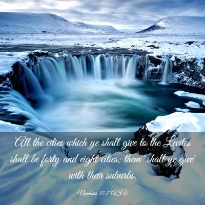 Picture 03 - Numbers 35:7 ASV - All the cities which ye shall give to the Levites - Bible Verse Picture