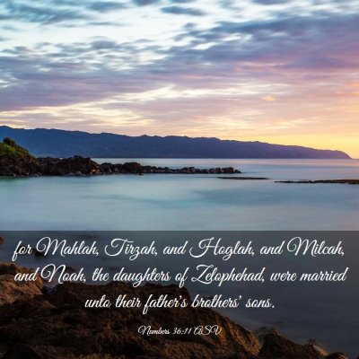 Picture 03 - Numbers 36:11 ASV - for Mahlah, Tirzah, and Hoglah, and Milcah, and - Bible Verse Picture