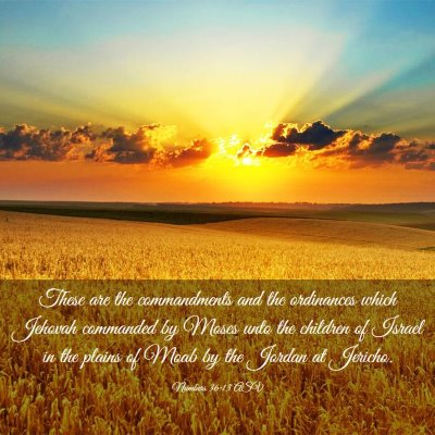 Picture 03 - Numbers 36:13 ASV - These are the commandments and the ordinances - Bible Verse Picture
