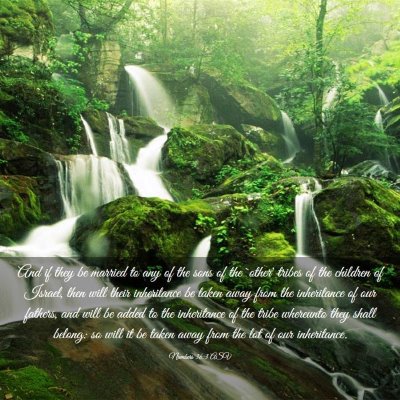 Picture 03 - Numbers 36:3 ASV - And if they be married to any of the sons of the - Bible Verse Picture
