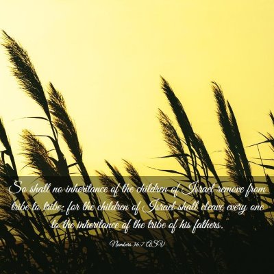 Picture 03 - Numbers 36:7 ASV - So shall no inheritance of the children of Israel - Bible Verse Picture