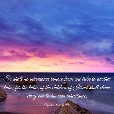 Picture 03 - Numbers 36:9 ASV - So shall no inheritance remove from one tribe to - Bible Verse Picture