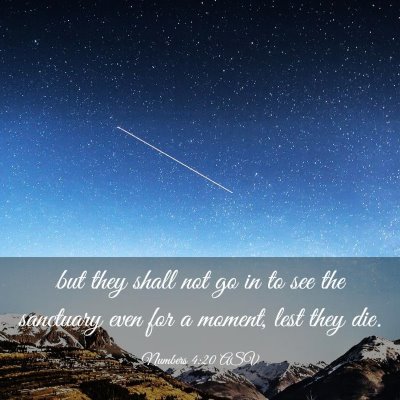 Picture 03 - Numbers 4:20 ASV - but they shall not go in to see the sanctuary - Bible Verse Picture