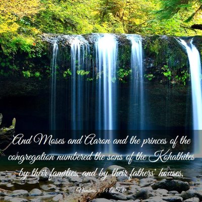 Picture 03 - Numbers 4:34 ASV - And Moses and Aaron and the princes of the - Bible Verse Picture