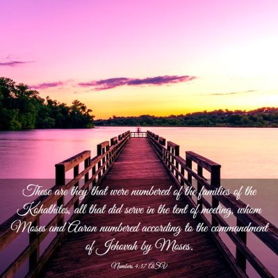 Picture 03 - Numbers 4:37 ASV - These are they that were numbered of the families - Bible Verse Picture