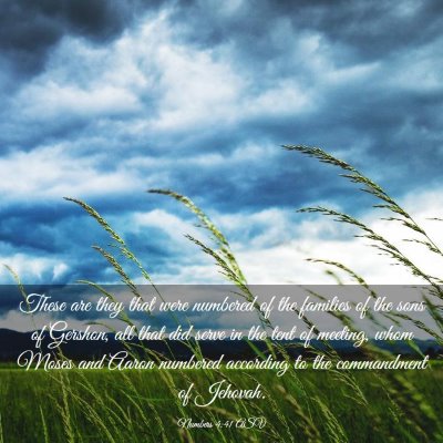 Picture 03 - Numbers 4:41 ASV - These are they that were numbered of the families - Bible Verse Picture