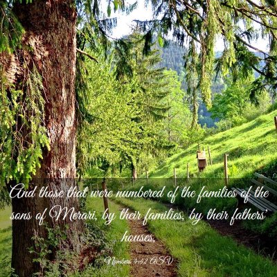 Picture 03 - Numbers 4:42 ASV - And those that were numbered of the families of - Bible Verse Picture