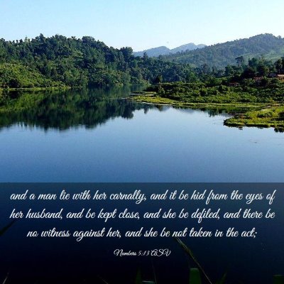 Picture 03 - Numbers 5:13 ASV - and a man lie with her carnally, and it be hid - Bible Verse Picture