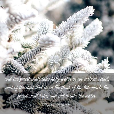 Picture 03 - Numbers 5:17 ASV - and the priest shall take holy water in an - Bible Verse Picture