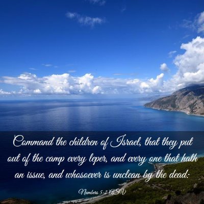 Picture 03 - Numbers 5:2 ASV - Command the children of Israel, that they put out - Bible Verse Picture