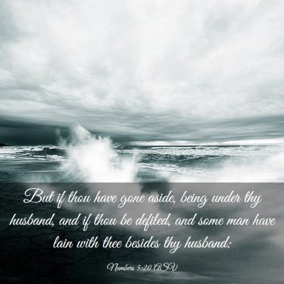 Picture 03 - Numbers 5:20 ASV - But if thou have gone aside, being under thy - Bible Verse Picture